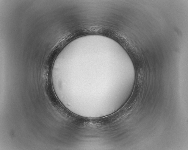 X0000114550739200911161418