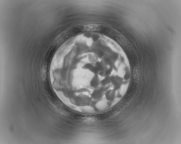 X0000114550741200911161418