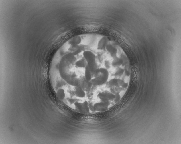 X0000114550745200911161418