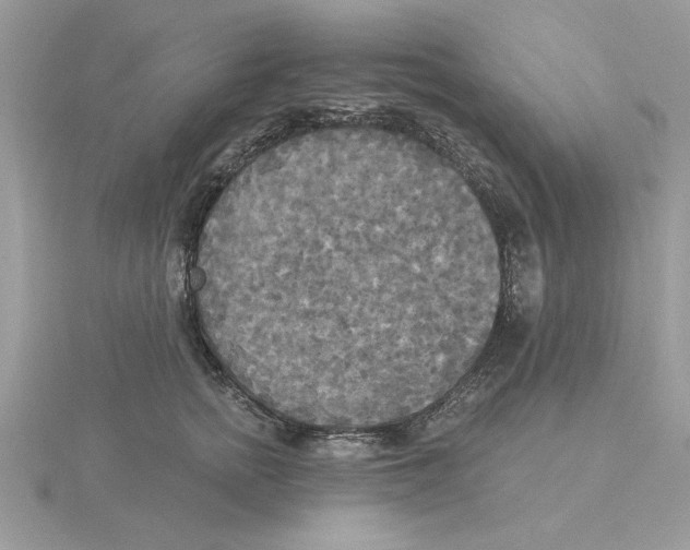 X0000114550758200911161418