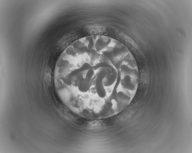 X0000114550761200911161418