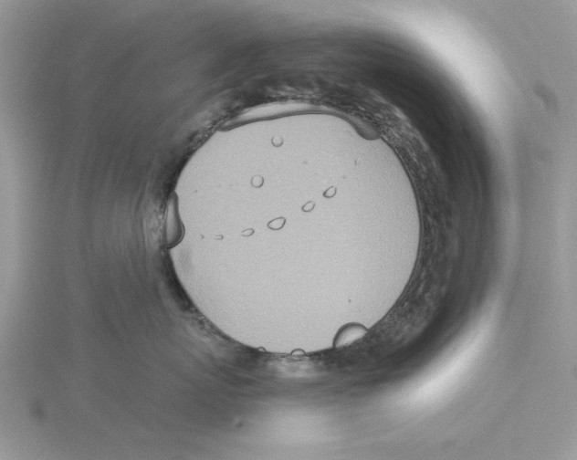 X0000114550767200911161418