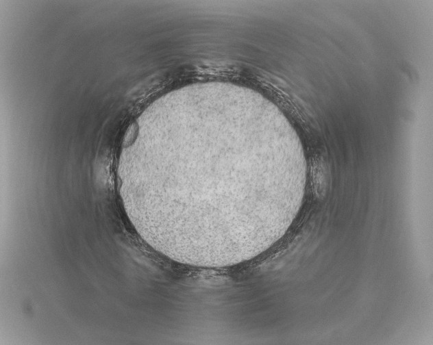 X0000114550770200911161418