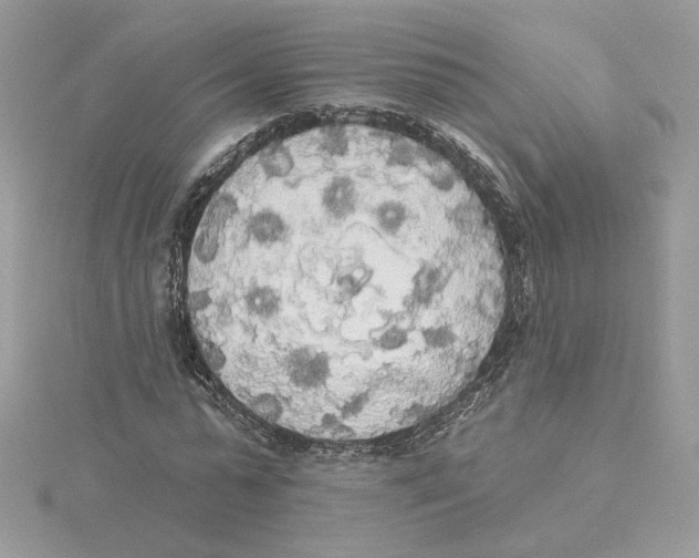 X0000114550775200911161418