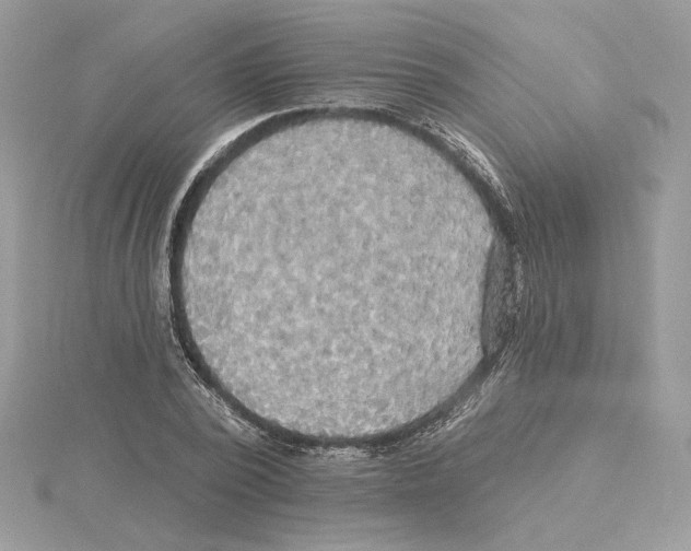 X0000114550784200911161418
