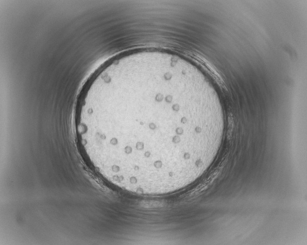 X0000114550788200911161418