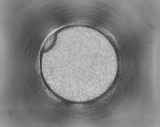 X0000114550792200911161418