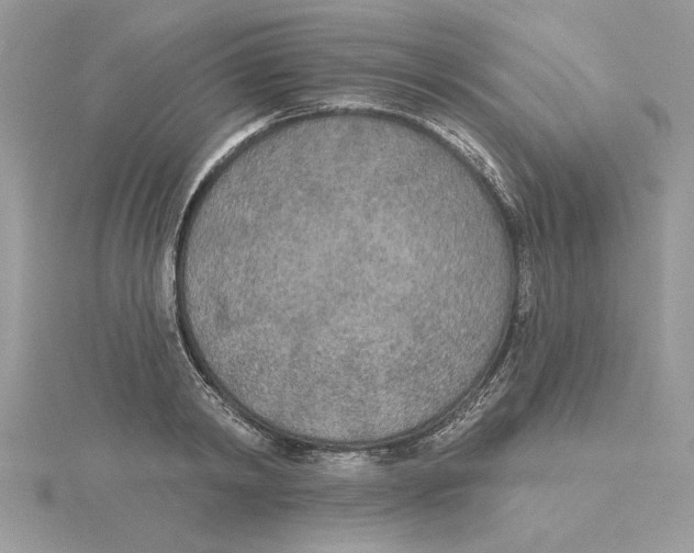 X0000114550798200911161417