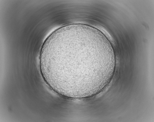 X0000114550814200911161417