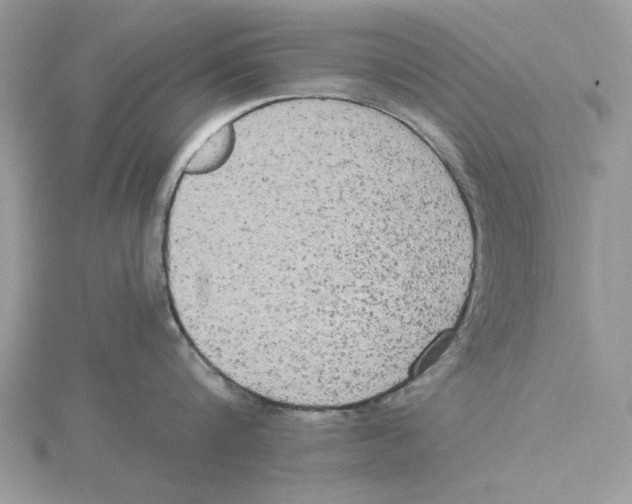 X0000114550816200911161417