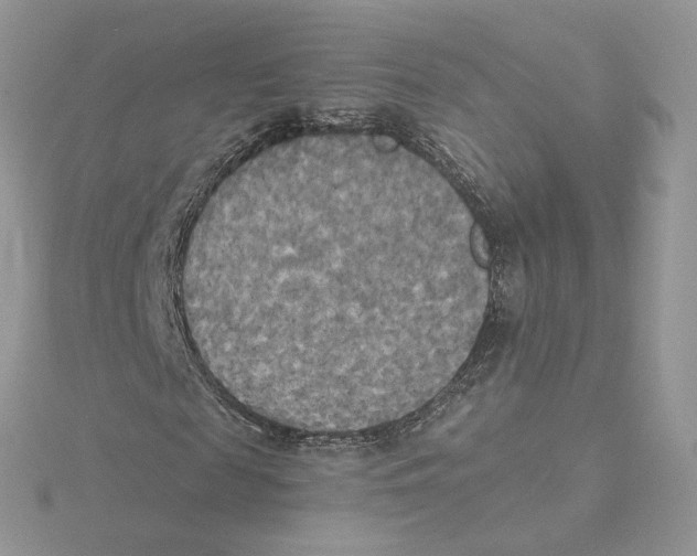 X0000114550817200911161417