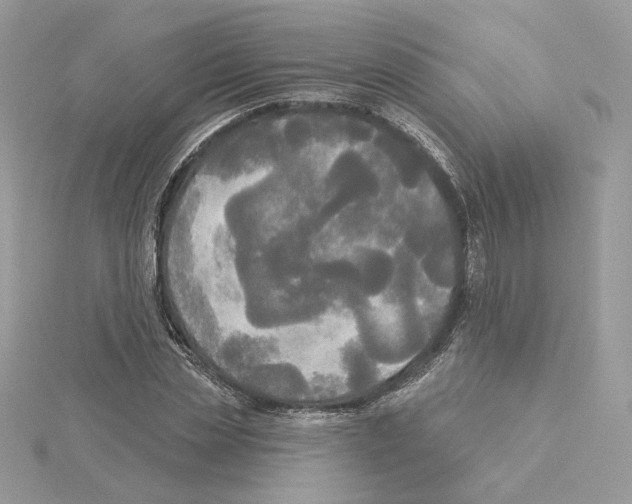 X0000114550829200911161417