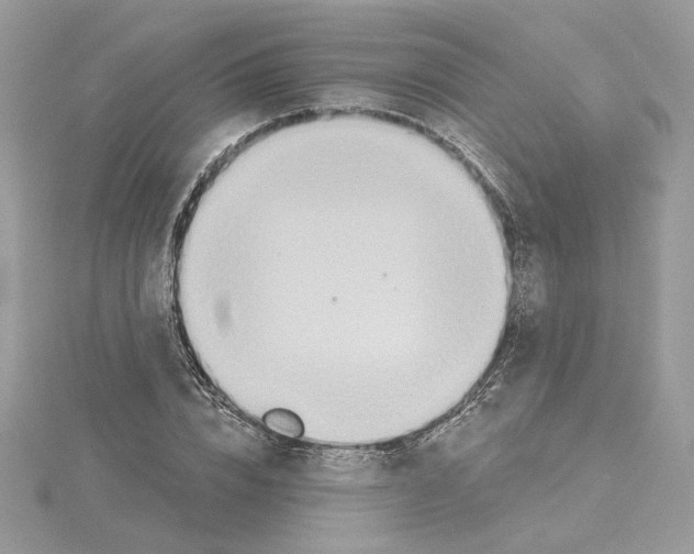 X0000114550832200911161417