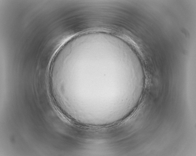 X0000114550836200911161417