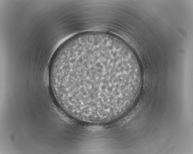 X0000114550838200911161417