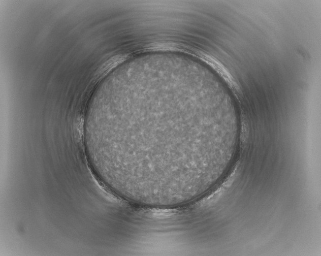 X0000114550849200911161417