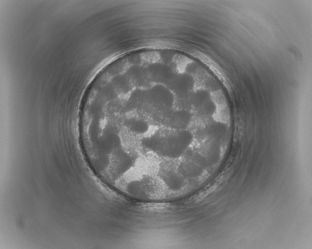 X0000114550853200911161417