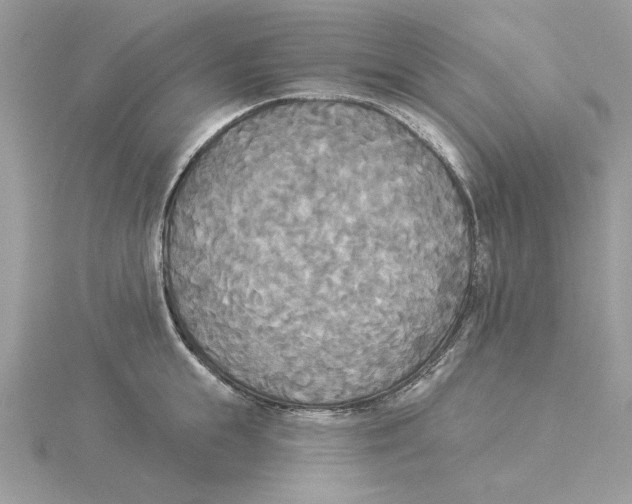 X0000114550855200911161417