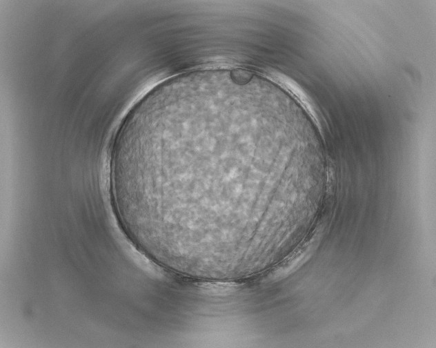 X0000114550859200911161417