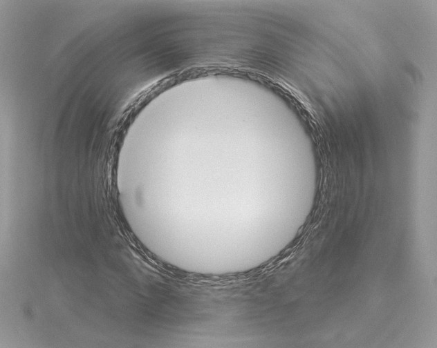 X0000114550872200911161416