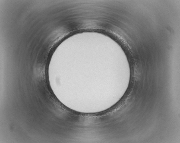 X0000114550873200911161416