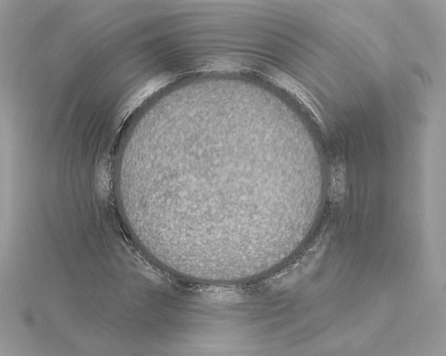 X0000114550874200911161416