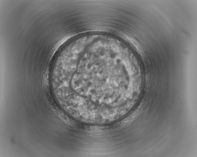 X0000114550875200911161416