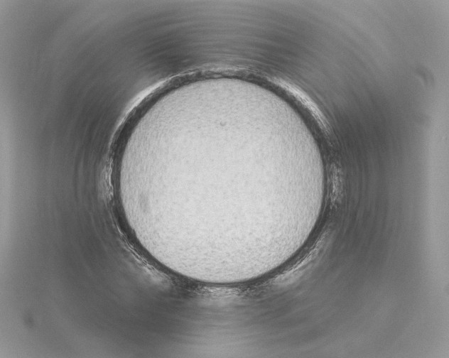X0000114550878200911161416