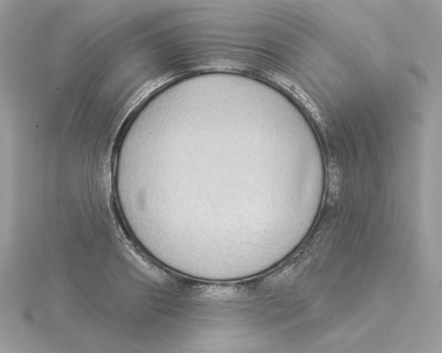 X0000114550890200911161416