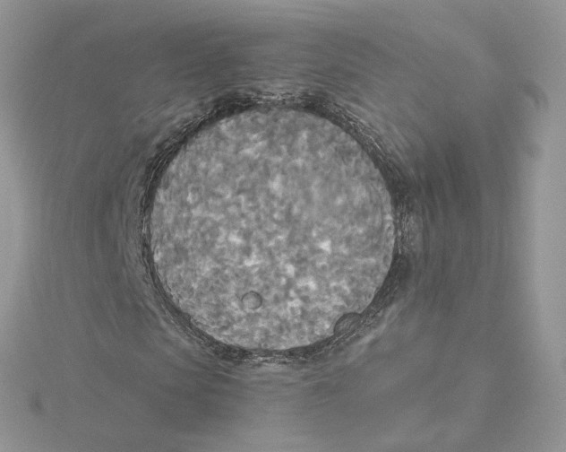 X0000114550913200911161415