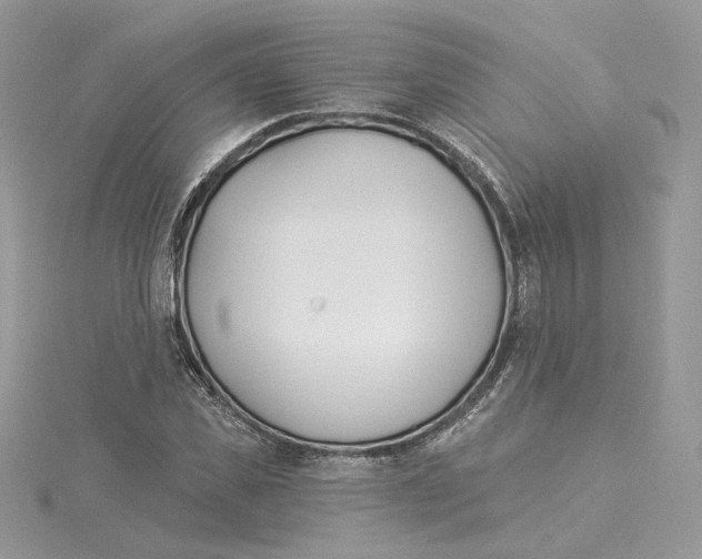 X0000114550925200911161416