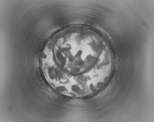 X0000114550929200911161416