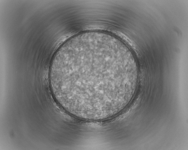 X0000114550937200911161416