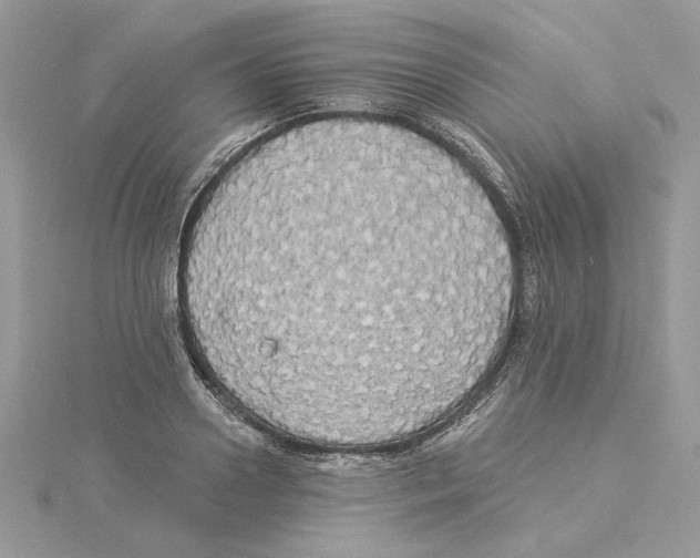 X0000114550938200911161416