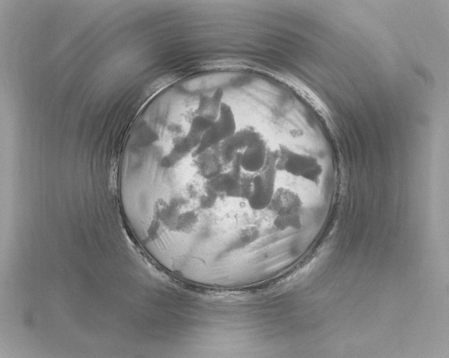 X0000114550953200911161416