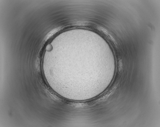 X0000114550970200911161415