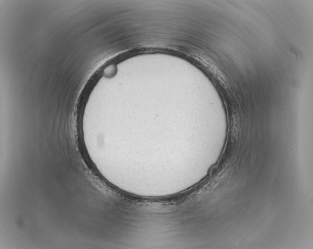 X0000114550976200911161415
