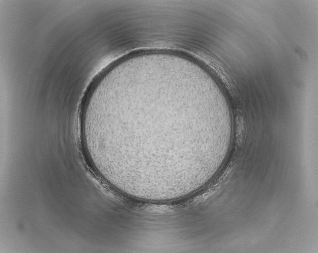 X0000114550982200911161415