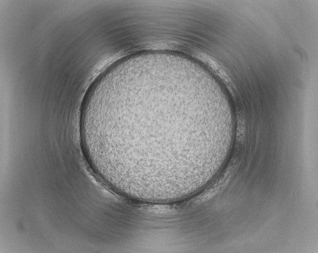 X0000114550986200911161415