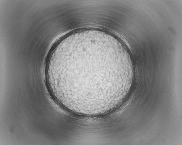 X0000114550987200911161415