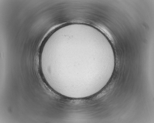 X0000114551000200911161415