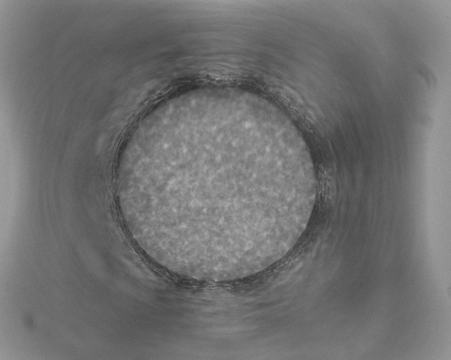 X0000114551009200911161414