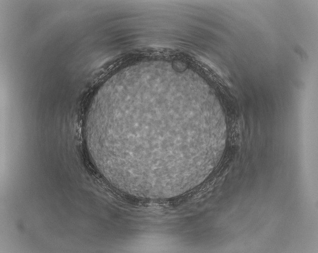 X0000114551013200911161414