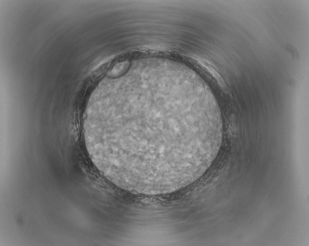 X0000114551015200911161414