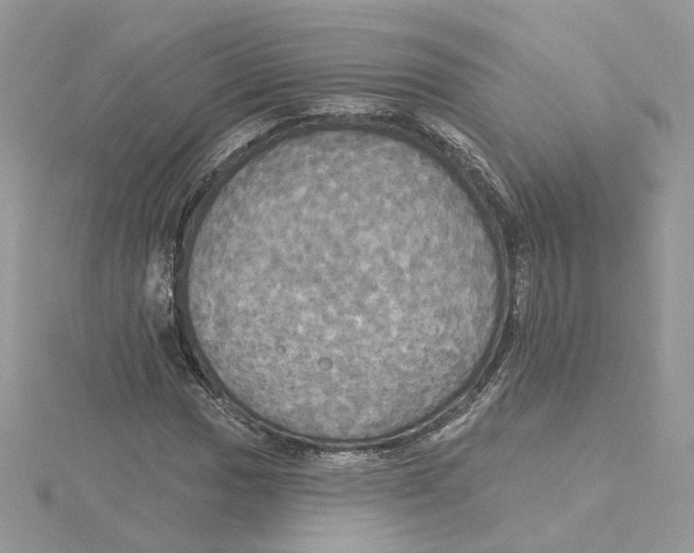 X0000114551017200911161414