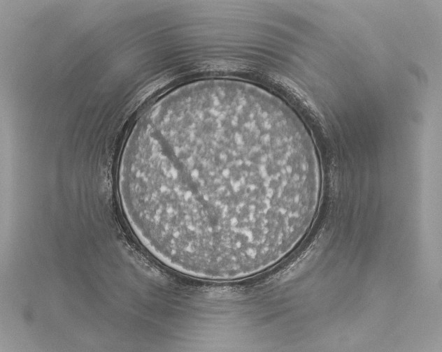 X0000114551025200911161414