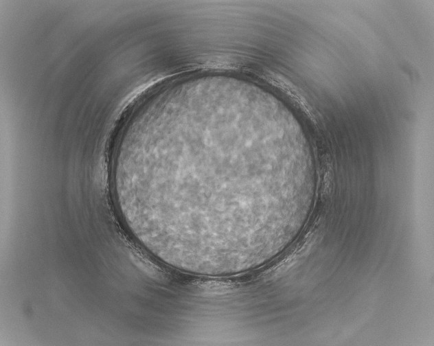 X0000114551027200911161414