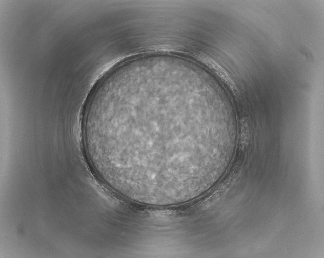 X0000114551031200911161414