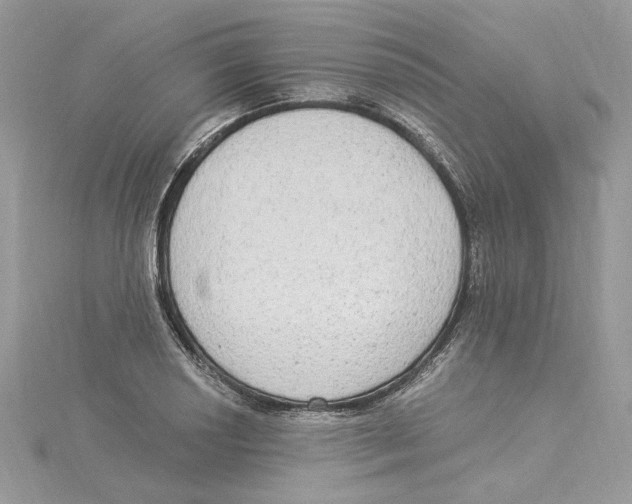 X0000114551034200911161414
