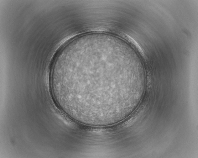 X0000114551035200911161414